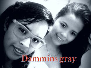 Dammins_gray