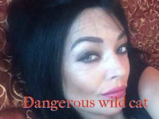 Dangerous_wild_cat