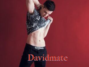 Davidmate