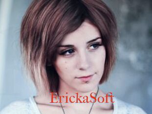 ErickaSoft