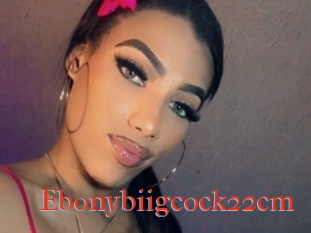 Ebonybiigcock22cm