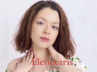 Elenecaris