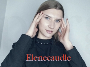 Elenecaudle