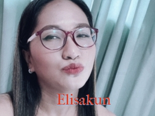 Elisakun