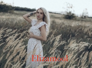 Elizamool