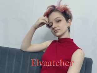 Elvaatcher