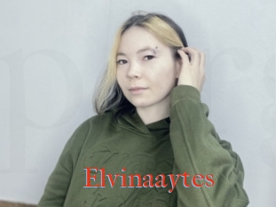 Elvinaaytes