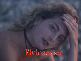 Elvinaesser