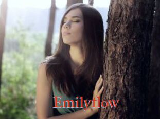 Emilyflow