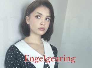 Engelgearing