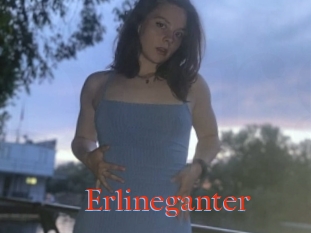 Erlineganter