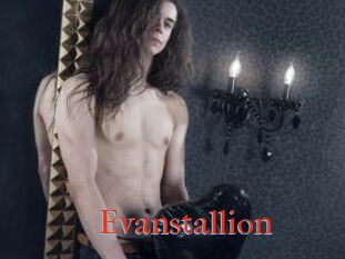 Evanstallion