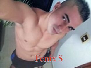 Fenix_S