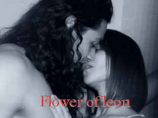 Flower_of_leon