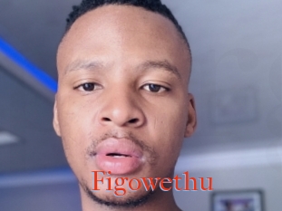 Figowethu