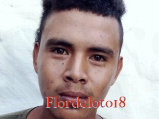 Flordeloto18