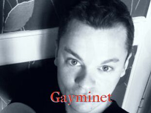 Gayminet