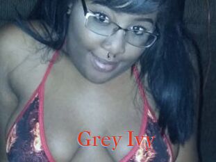 Grey_Ivy