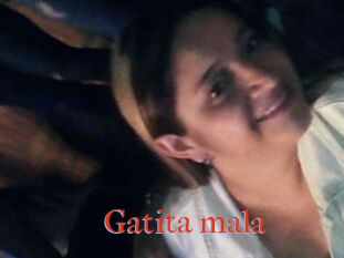 Gatita_mala