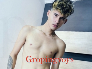 Gropingvoys