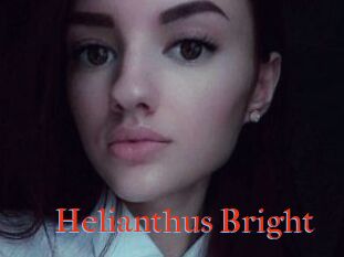 Helianthus_Bright