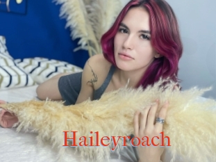 Haileyroach