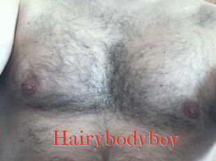 Hairybodyboy