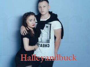 Halleyandbuck