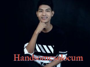 Handsomesolocum