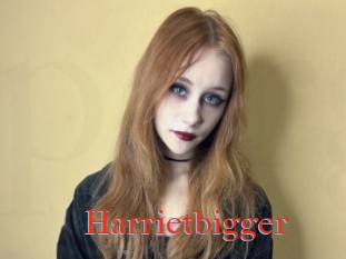 Harrietbigger