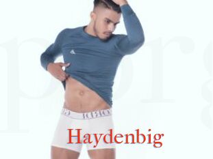 Haydenbig