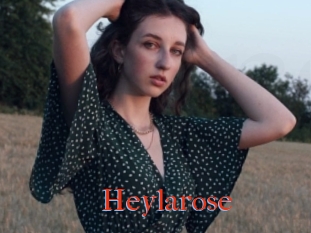 Heylarose