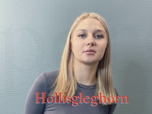 Hollisgleghorn