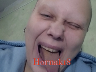 Hornak18