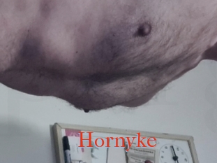 Hornyke