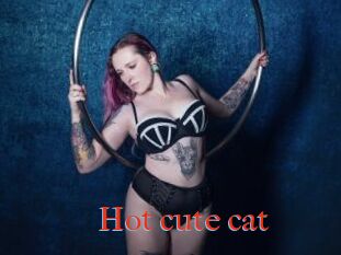 Hot_cute_cat