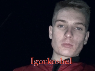 Igorkoshel
