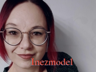 Inezmodel