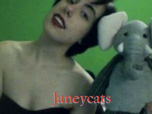 Janeycats