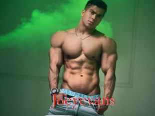 Joeyevans