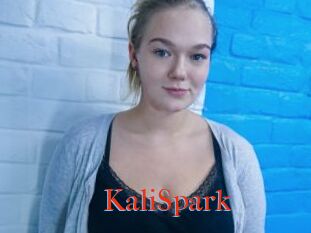 KaliSpark