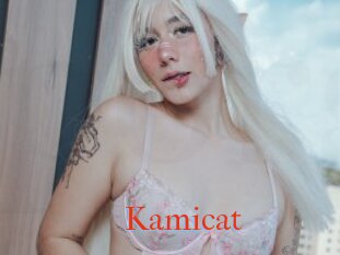 Kamicat