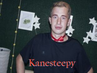 Kanesteepy