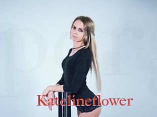 Katelineflower