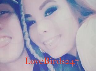 LoveBirds247