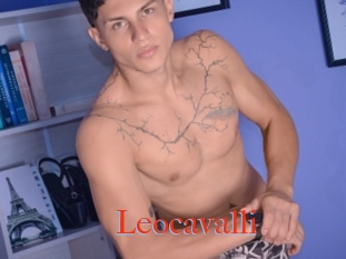 Leocavalli