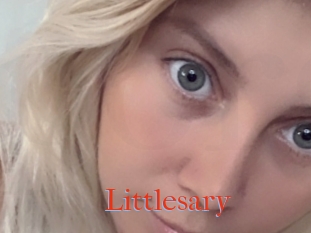 Littlesary