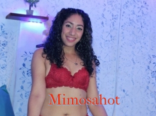 Mimosahot