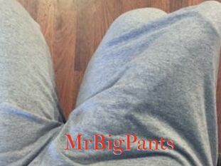 MrBigPants