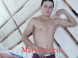 Marcusorgus